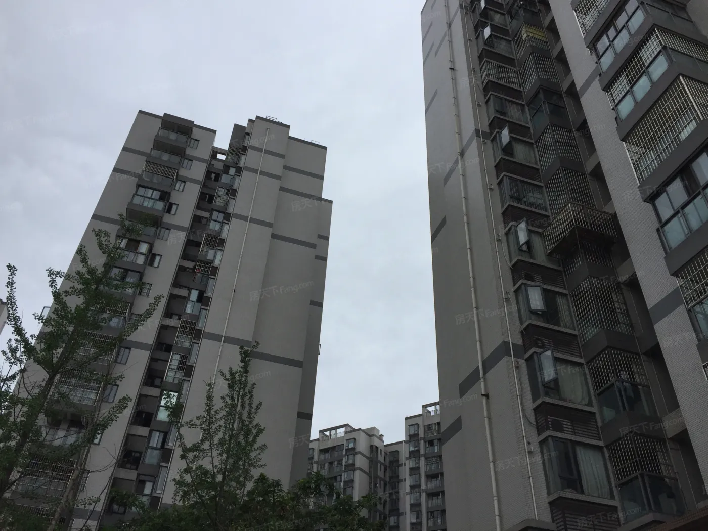 泉水东苑2室1厅1卫东南朝向1600.00元/月出租