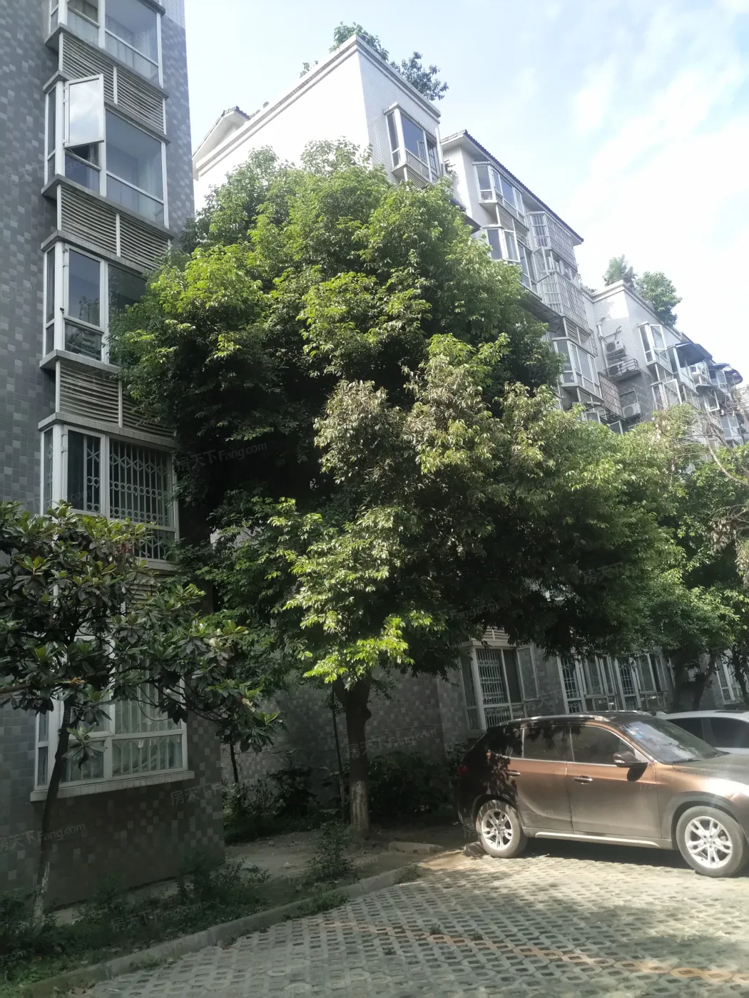 临江丽苑2室1厅1卫南朝向1900.00元/月出租