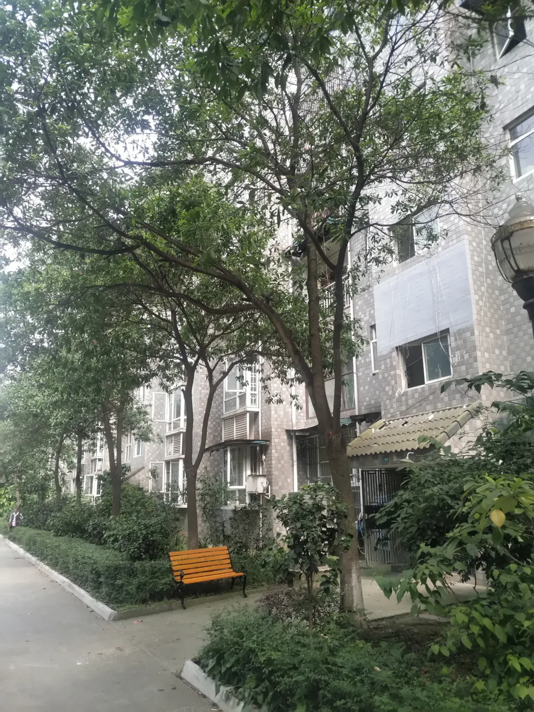 临江丽苑4室2厅2卫东南朝向2200.00元/月出租