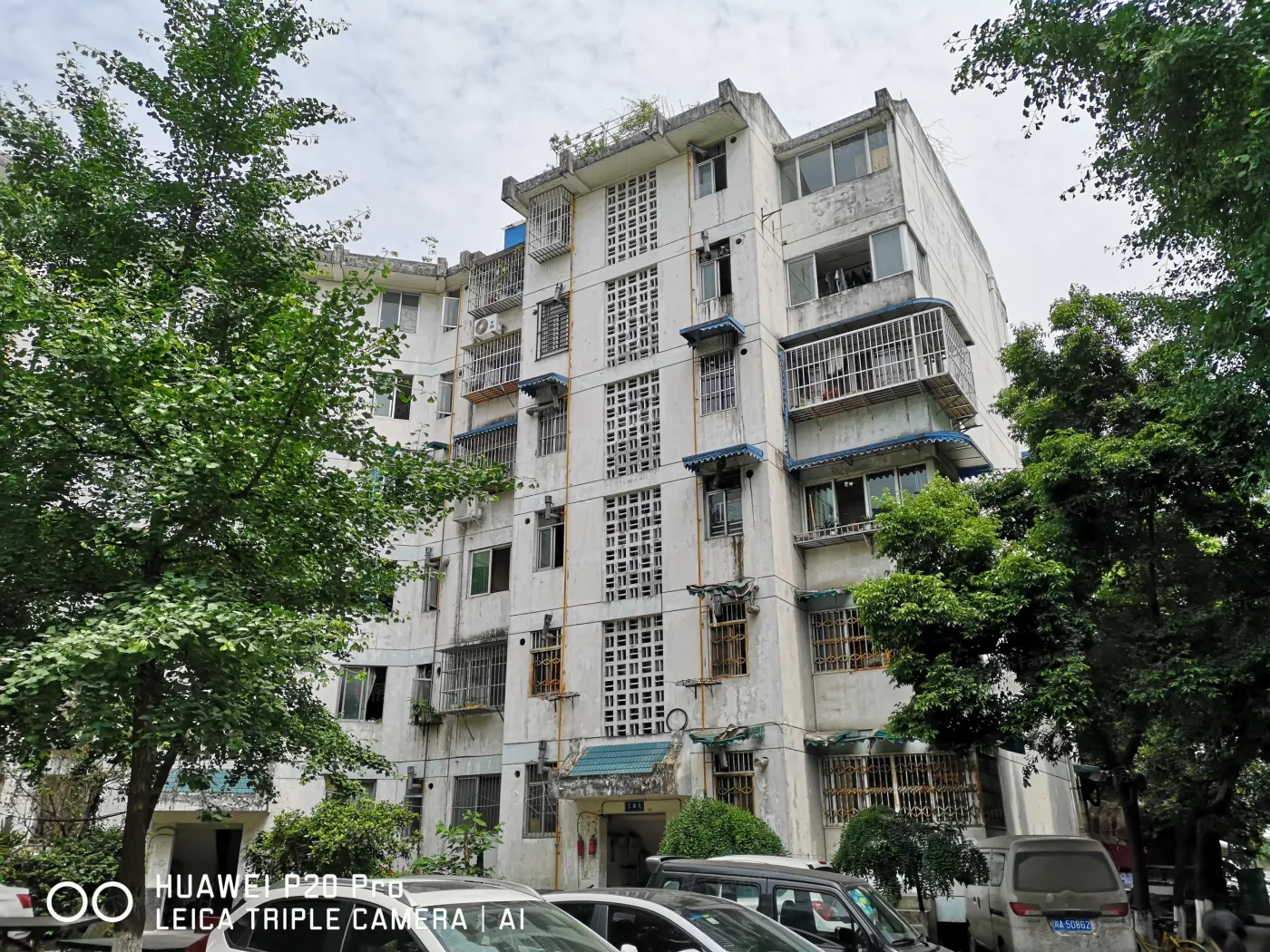 整租·金卉苑2室1厅