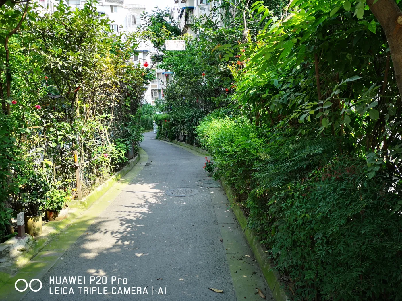 福祥家园瑞祥苑2室1厅1卫西南朝向2200.00元/月出租