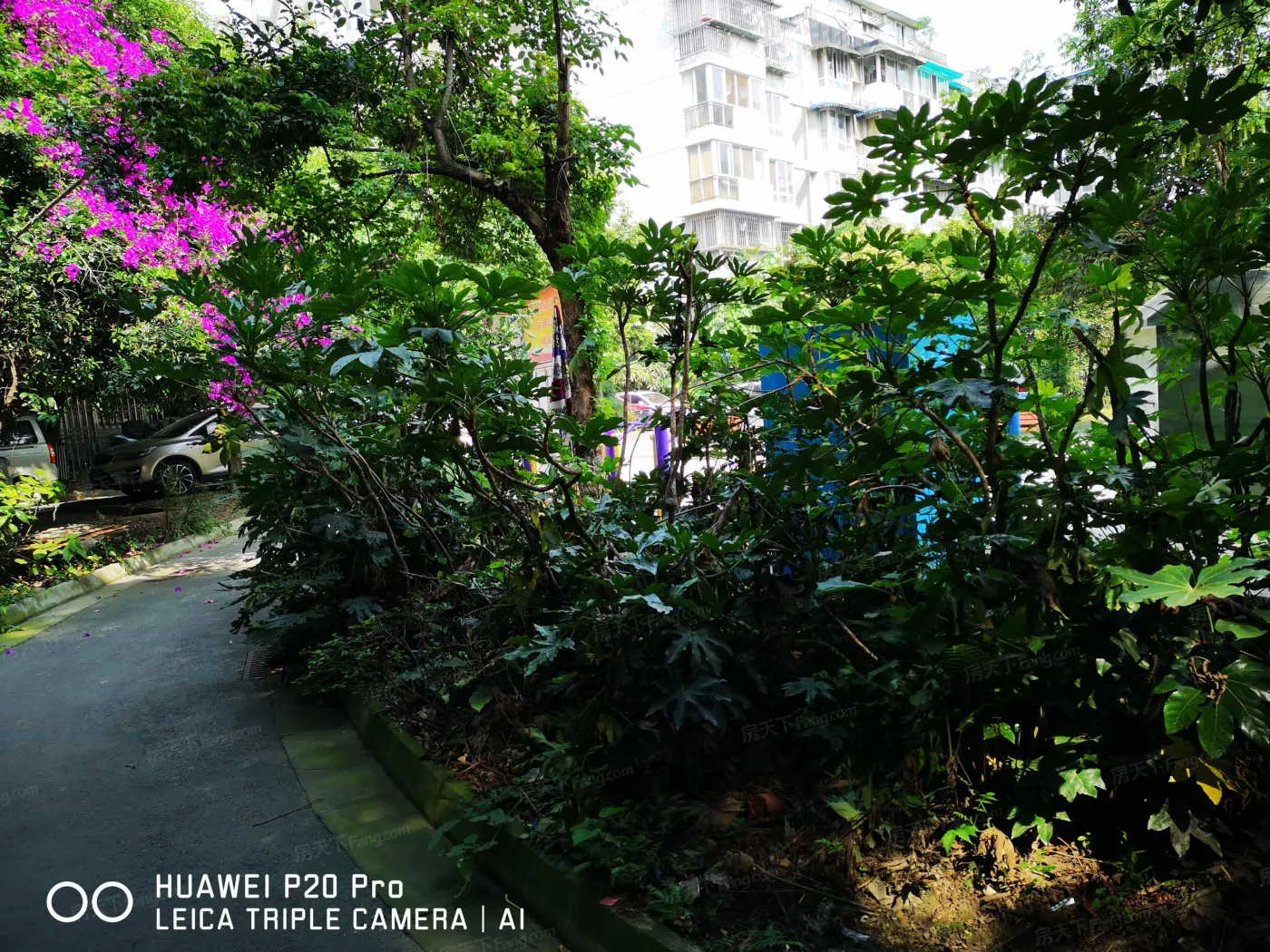 福祥家园瑞祥苑1室1厅1卫东南朝向2000.00元/月出租