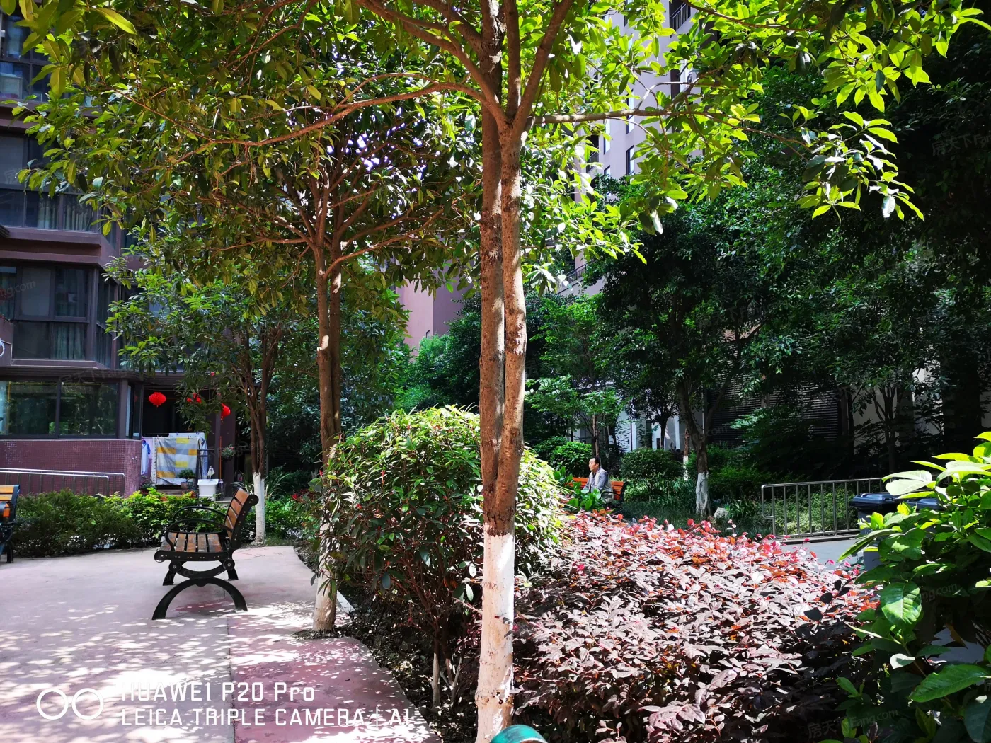 新雨香沁6室2厅东朝向6000.00元/月出租