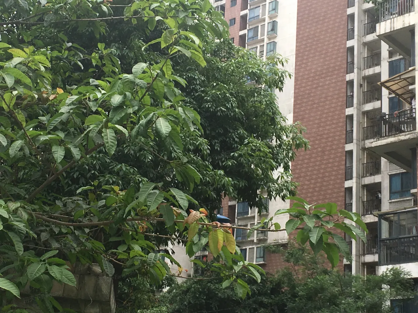 地质花园实景图