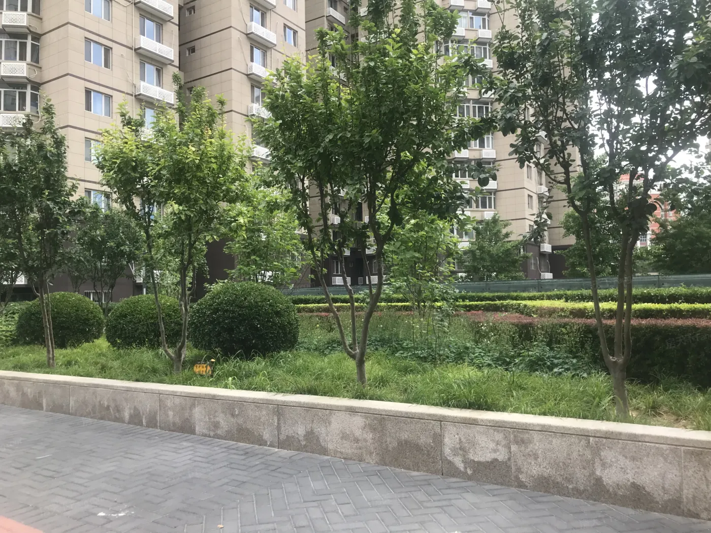 新风街1号院2室1厅1卫东南朝向10500.00元/月出租