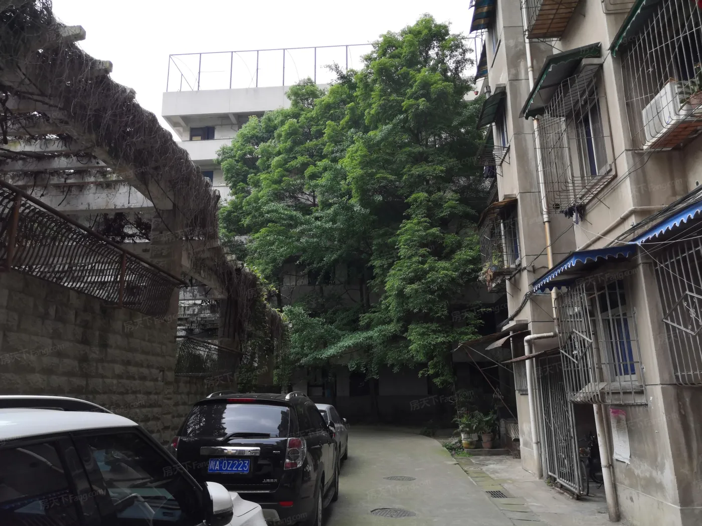 百寿路4号院2室1厅1卫东南朝向1850.00元/月出租