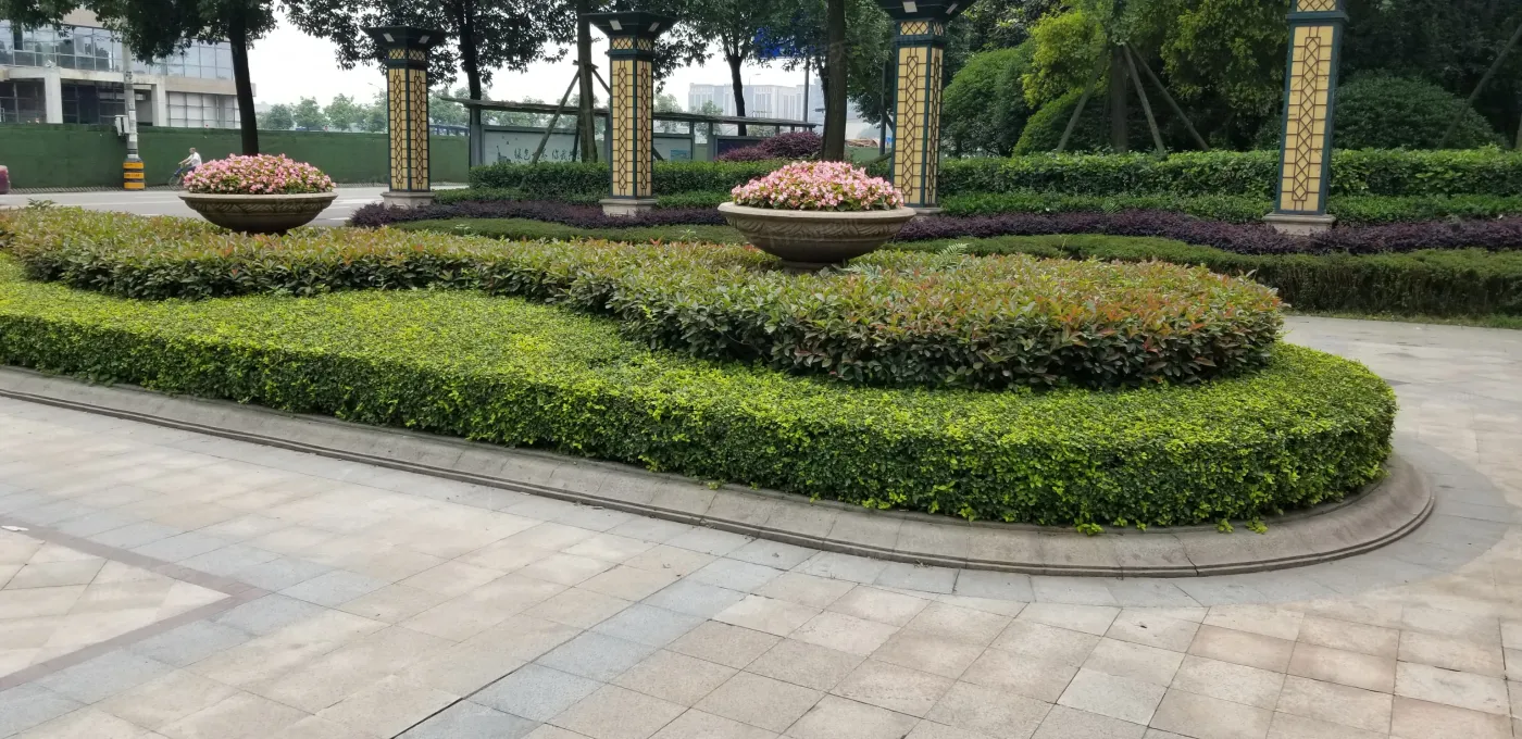 佳兆业8号2室2厅1卫东朝向2000.00元/月出租