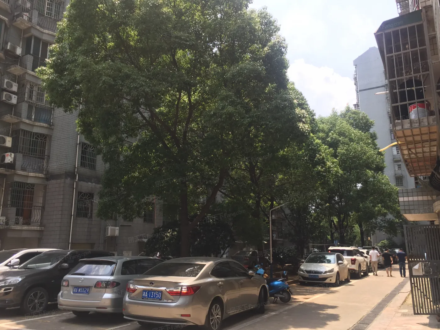 锦泰家园3室2厅2卫南朝向2400.00元/月出租