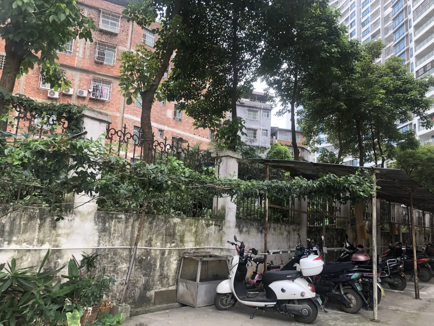 新阳粮油批发市场宿舍小区租房怎么样？看看这份报告就知道！