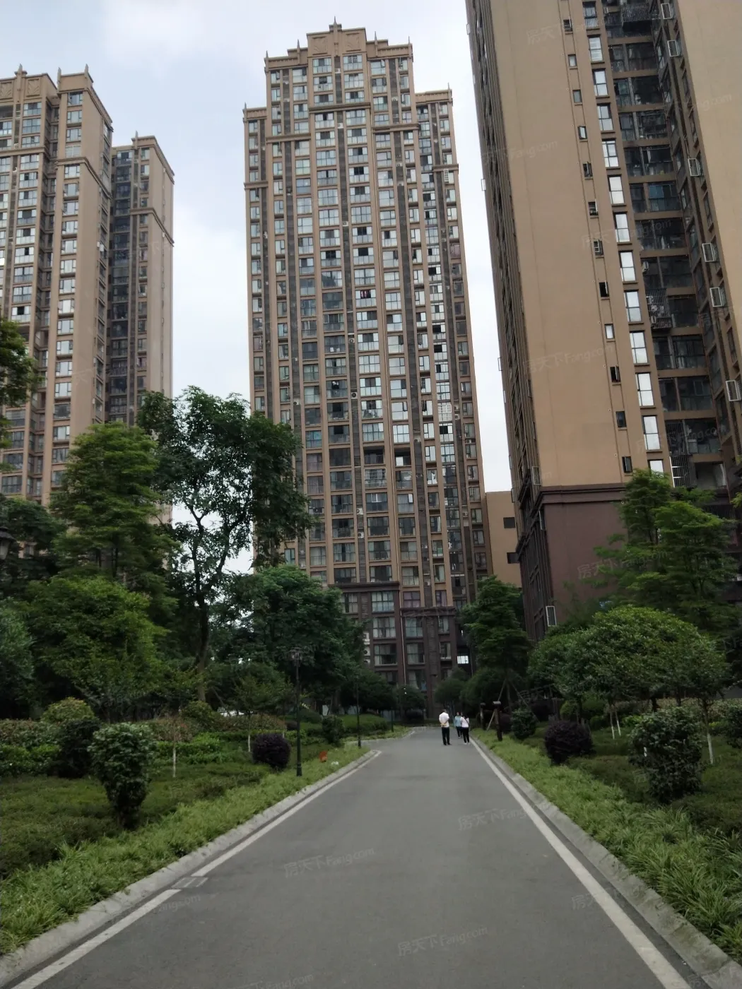 圣采泊尚3室1厅1卫西朝向1800.00元/月出租