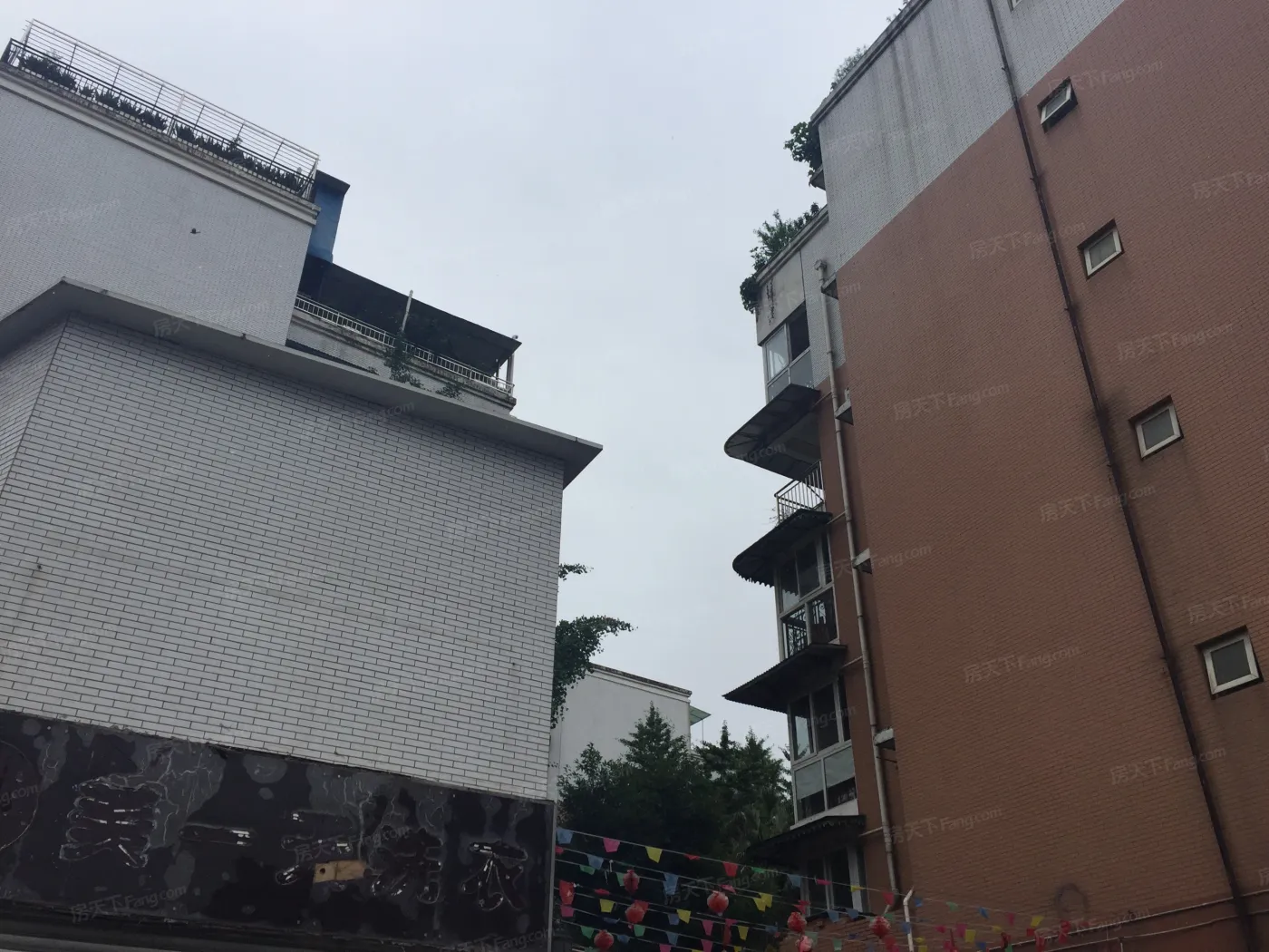 明珠园一期3室2厅2卫东南朝向2500.00元/月出租