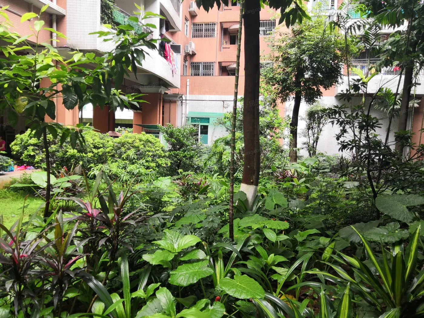 麓景雅苑2室1厅1卫西南朝向5500.00元/月出租