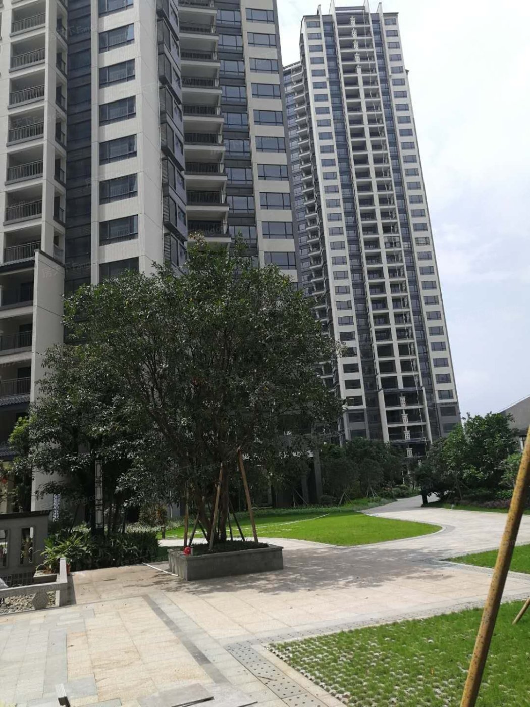 实景图:小区环境