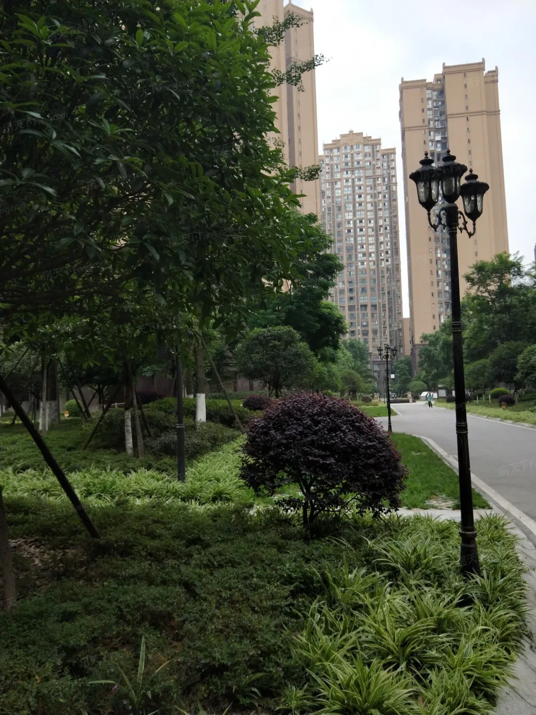 圣采泊尚3室1厅1卫东南朝向2700.00元/月出租