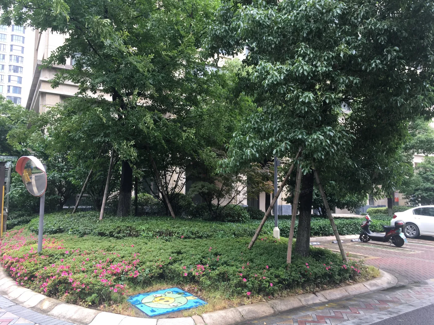 青林湾七期3室2厅2卫南朝向4300.00元/月出租