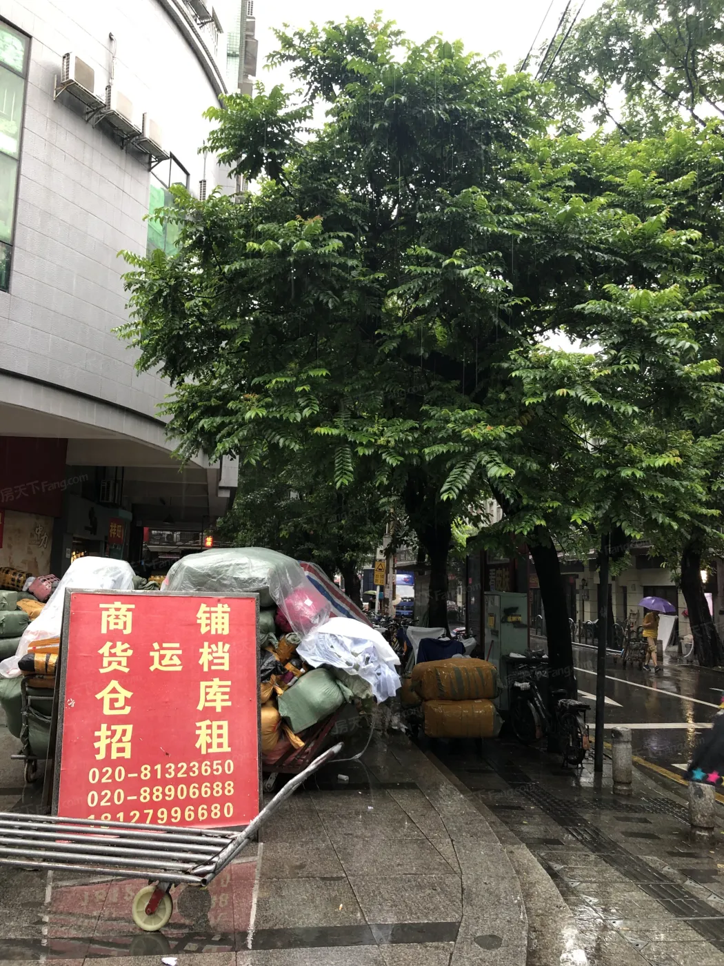 和乐大厦3室1厅1卫东朝向5800.00元/月出租
