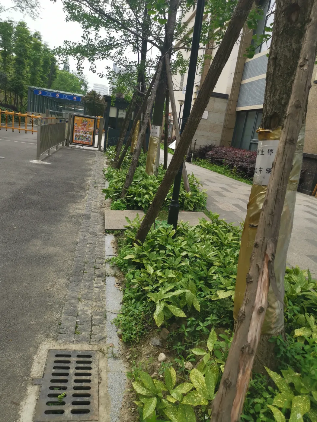中大君悦金沙九期2室2厅1卫东南朝向2900.00元/月出租
