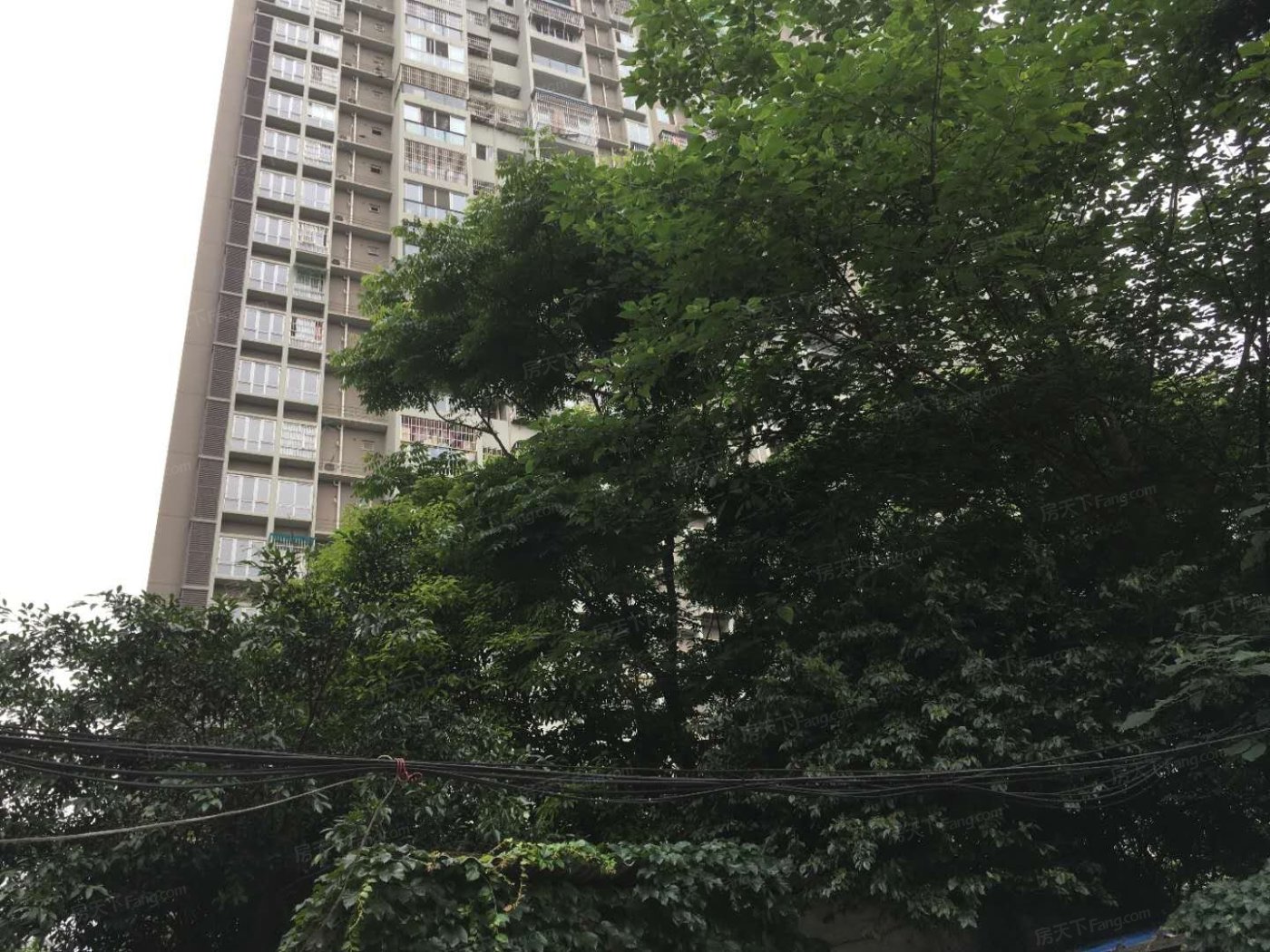 柳江新居三期1室1厅1卫东南朝向2500.00元/月出租