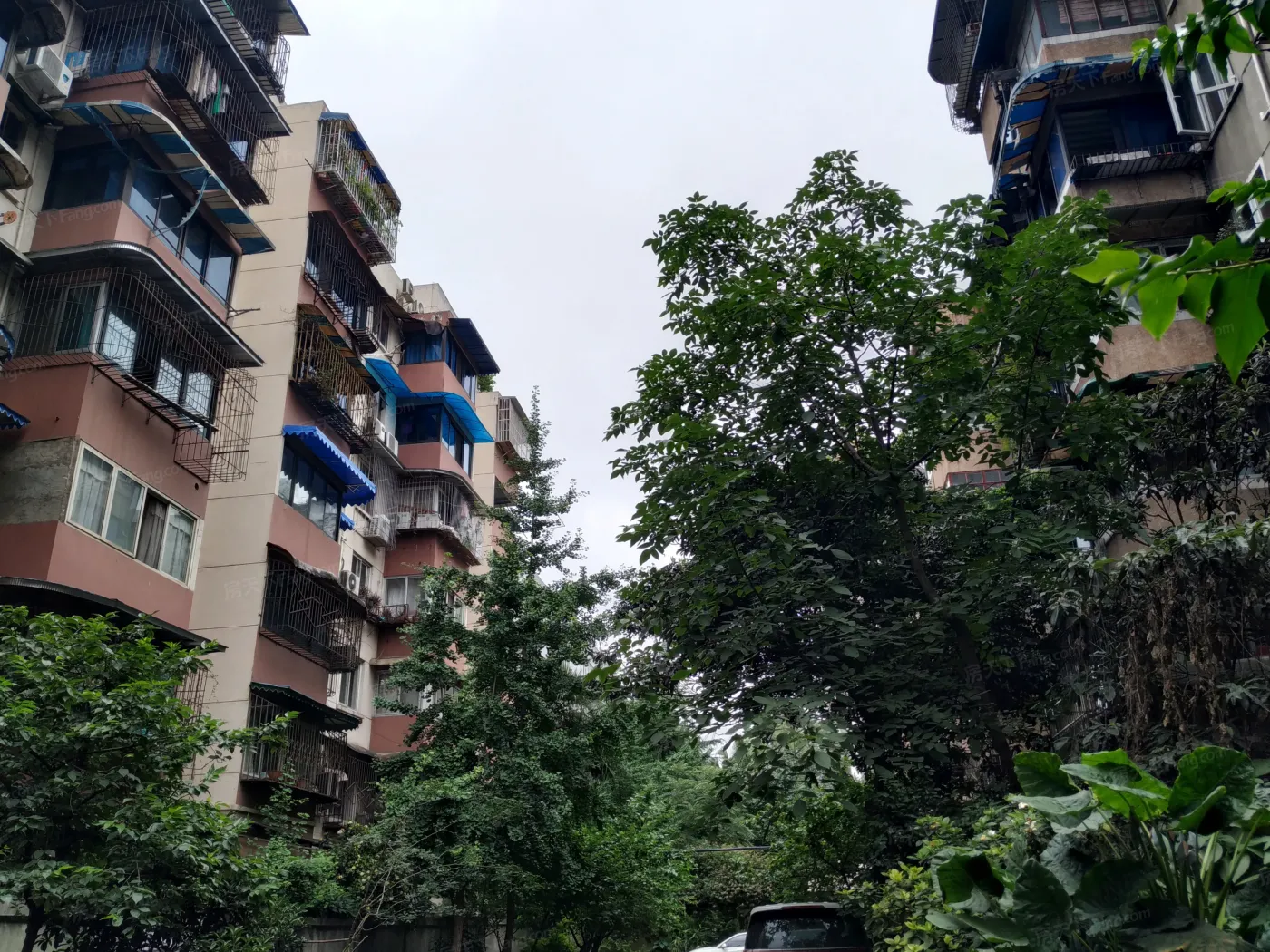 倪家桥路8号院2室1厅1卫南北朝向2200.00元/月出租