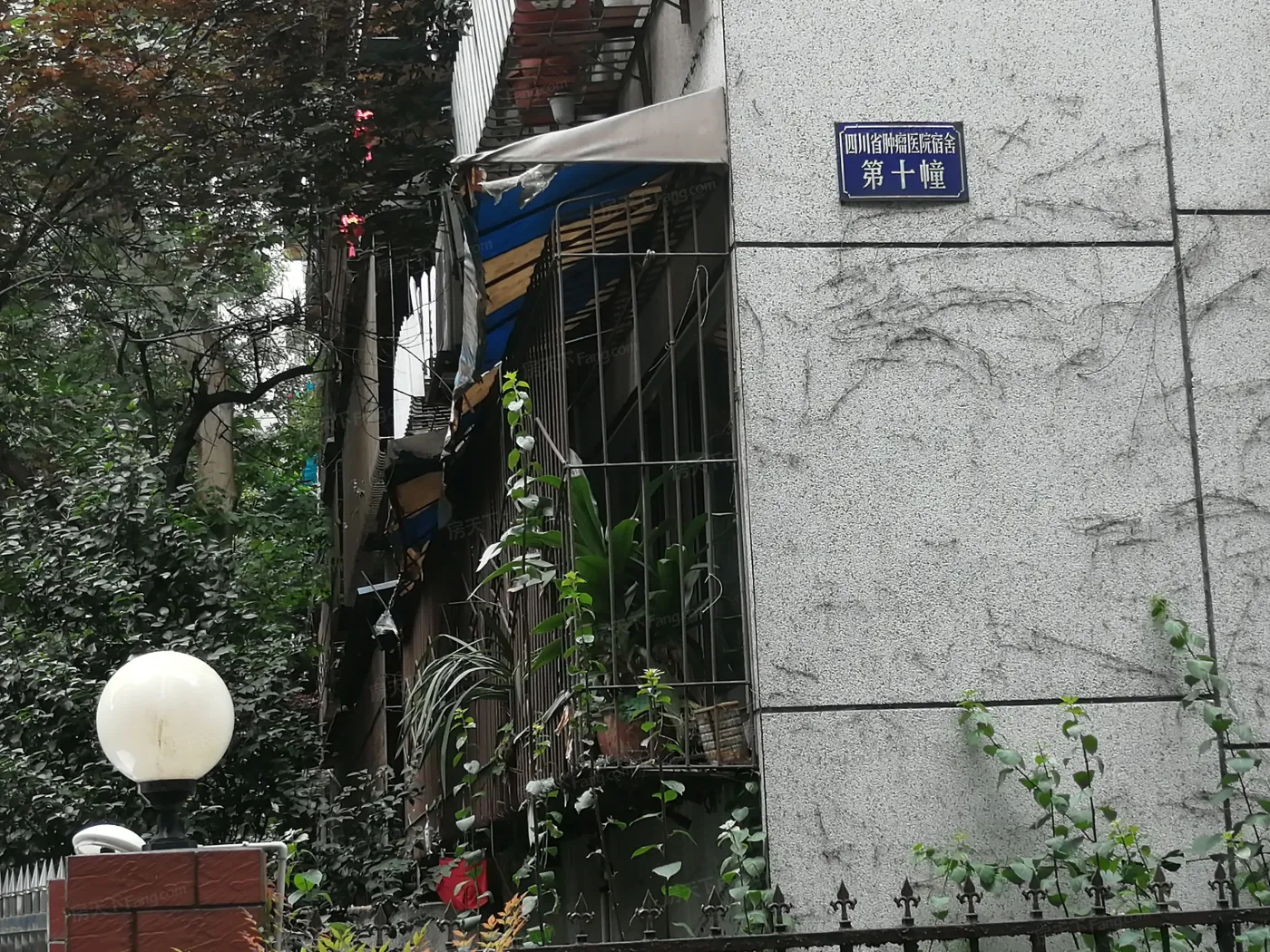 肿瘤医院宿舍2室1厅1卫南朝向2500.00元/月出租