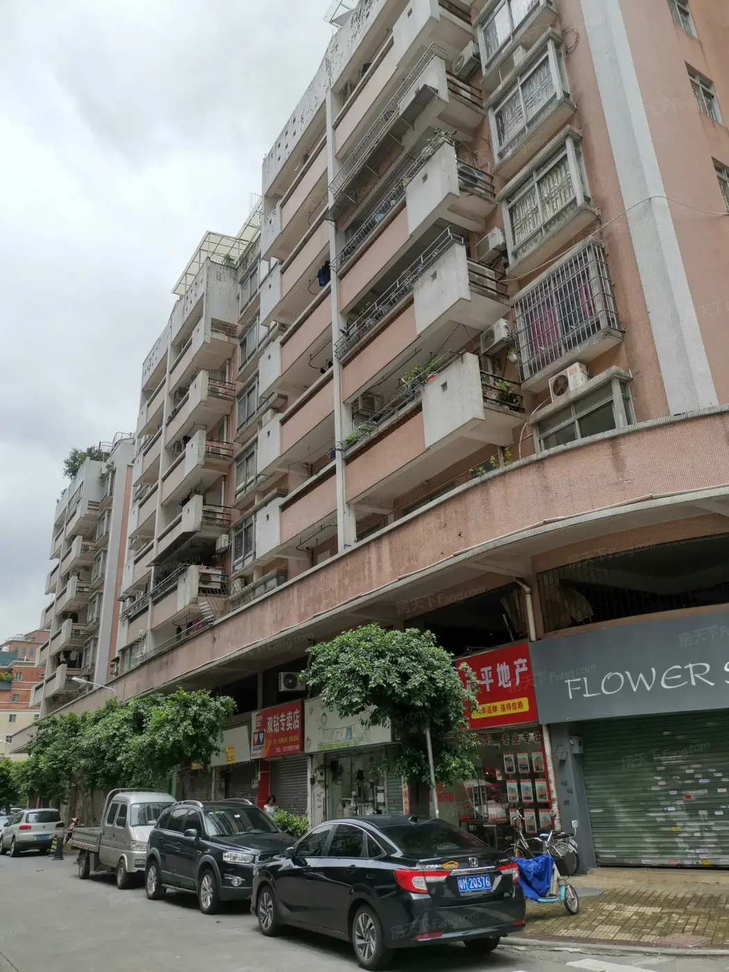 广州小区 番禺小区 市桥东小区 东方花园二区 东方花园二区相册 >