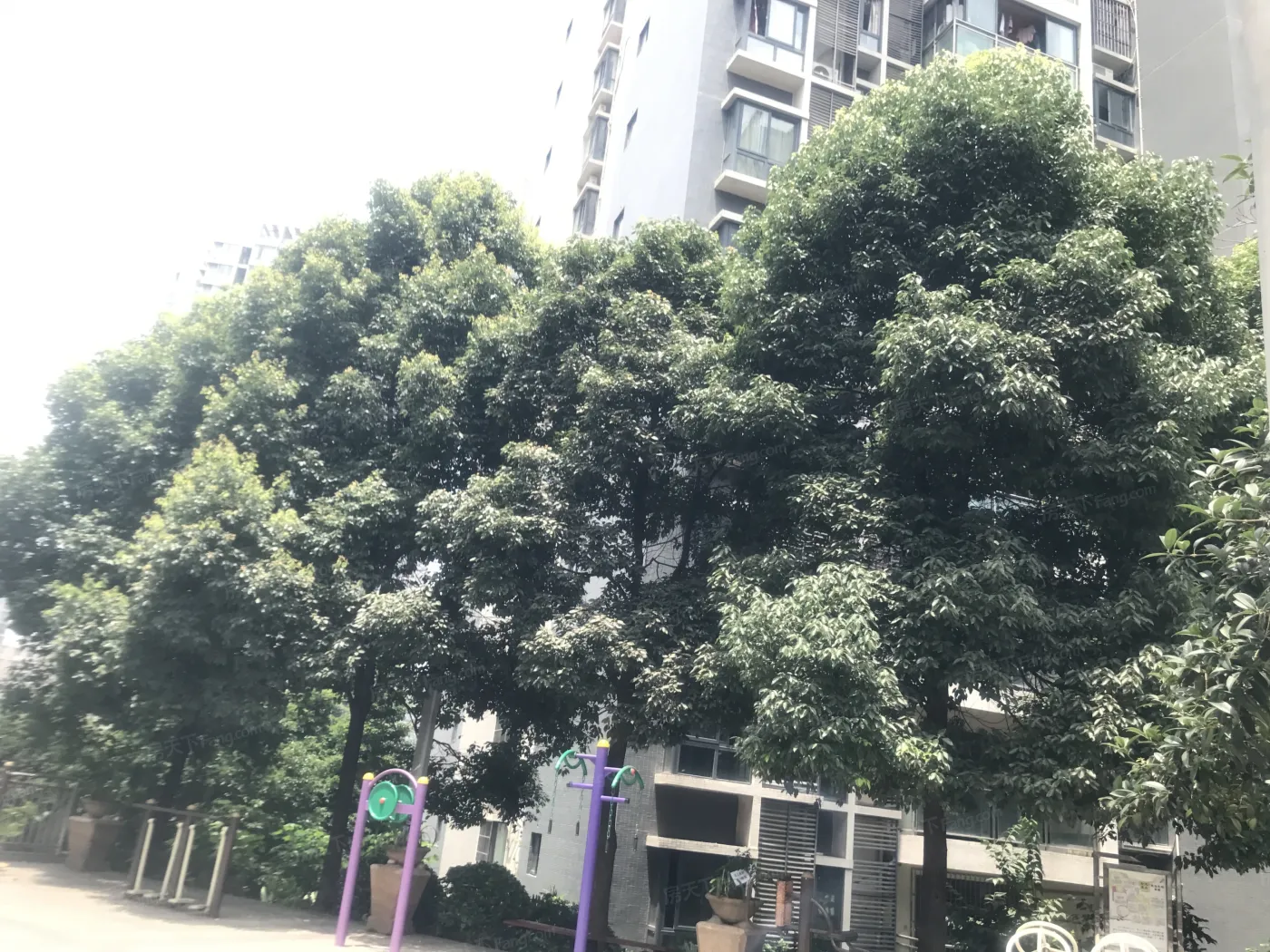 香堤花径2室1厅1卫南朝向1800.00元/月出租