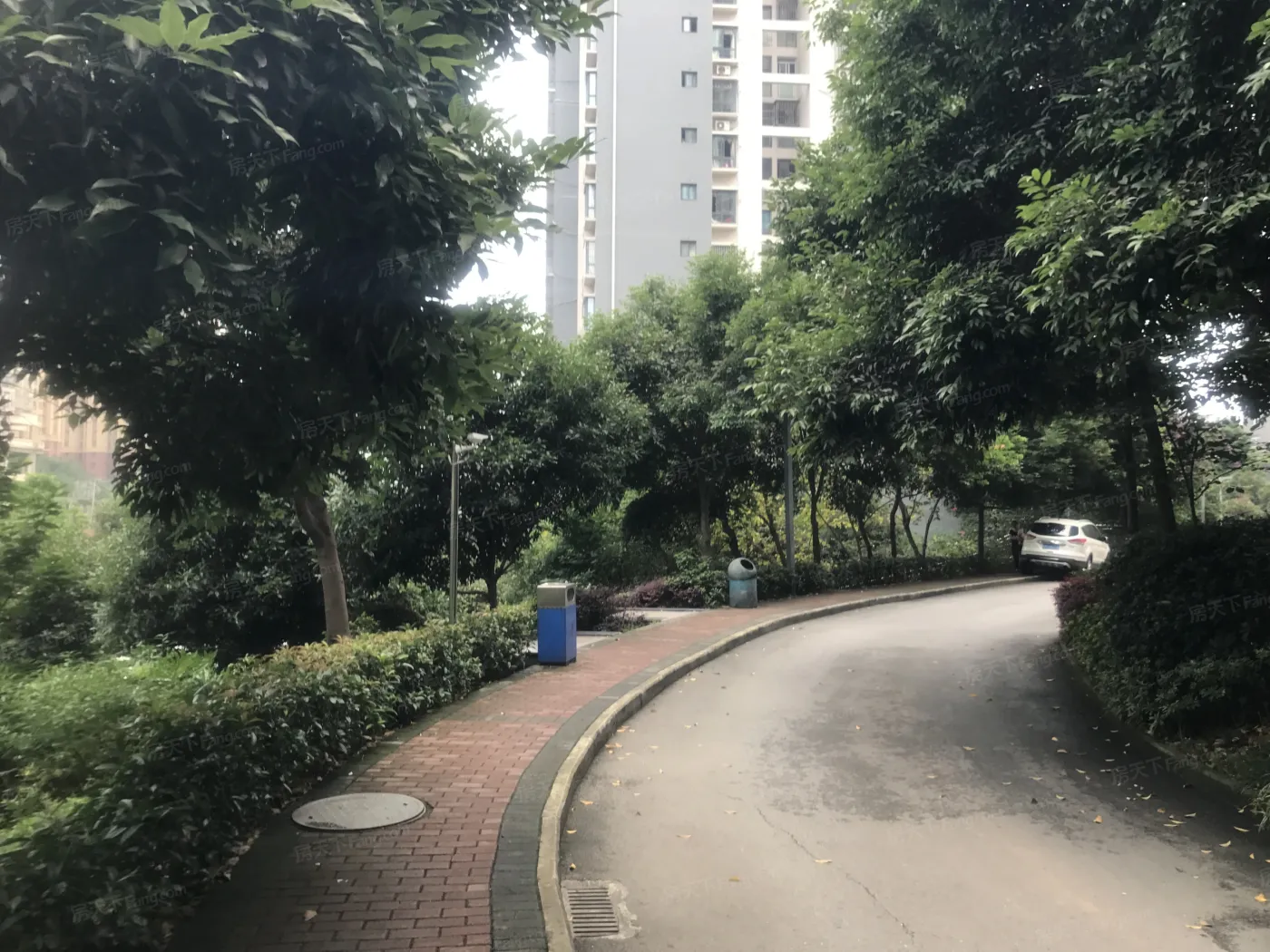 香堤花径3室2厅1卫东南朝向1700.00元/月出租