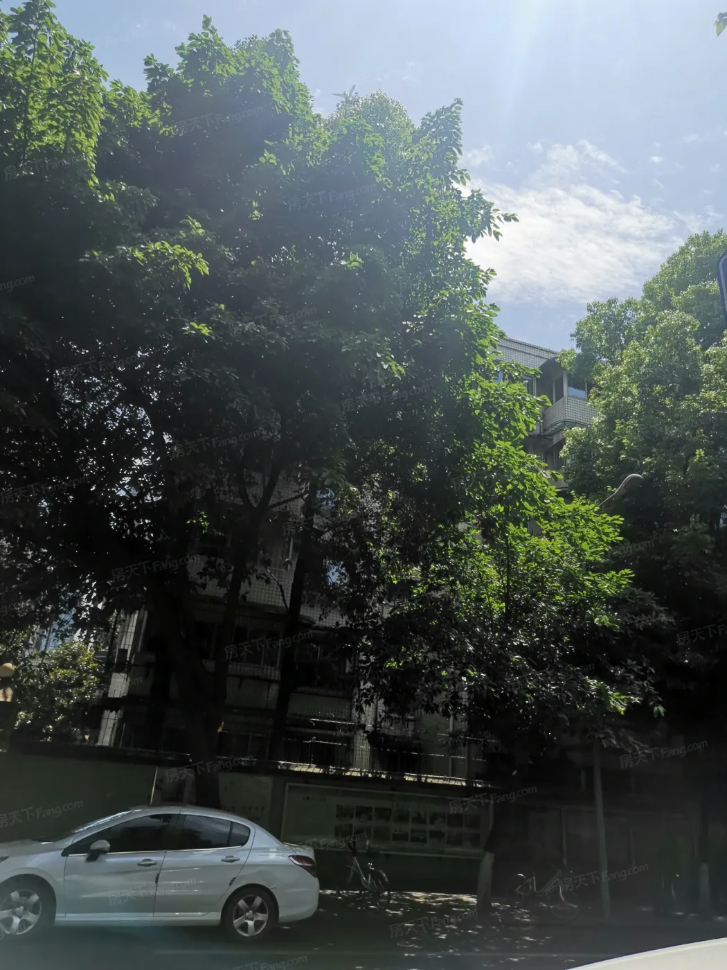 金沙新城实景图