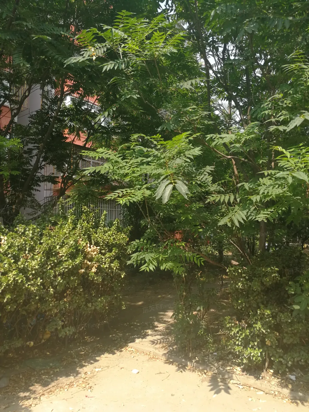 育芳园甲一号院2室1厅1卫南北朝向4800.00元/月出租