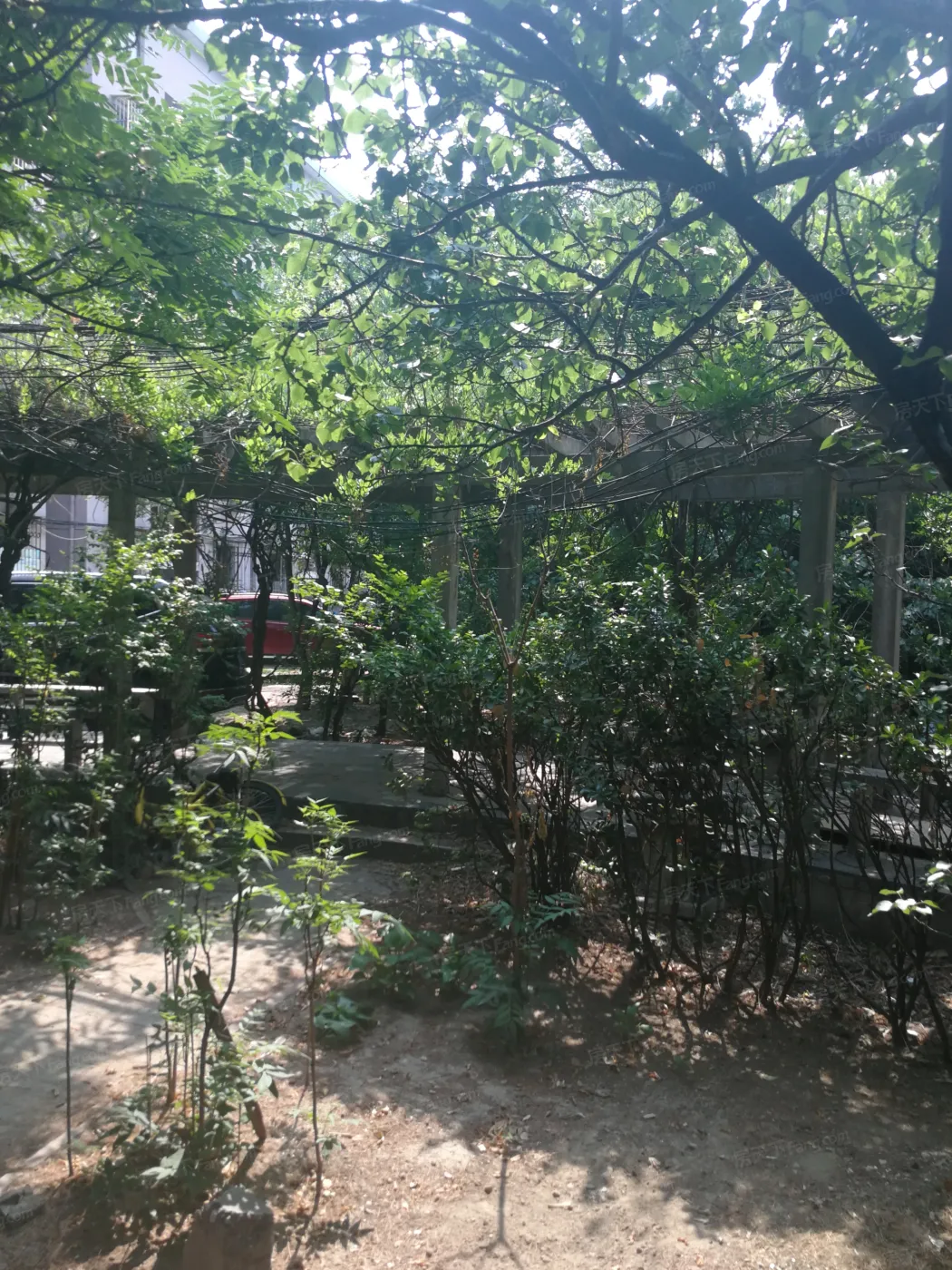 育芳园甲一号院3室2厅1卫南北朝向6000.00元/月出租