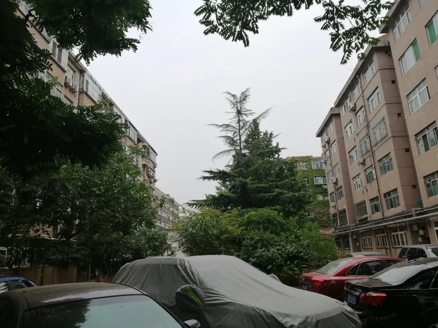 徐家花园2室1卫南朝向2000.00元/月出租