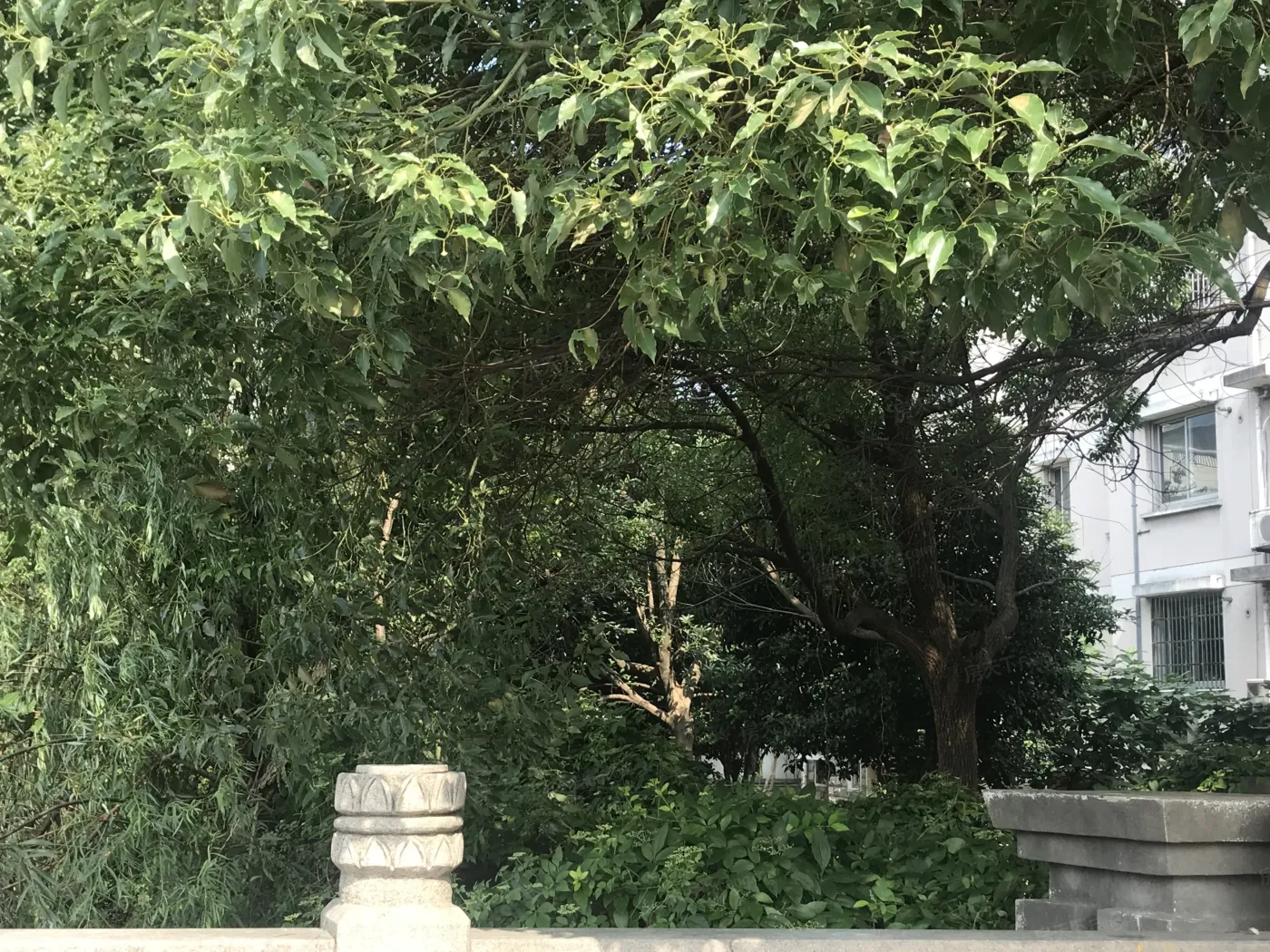 风和苑3室2厅2卫南朝向3000.00元/月出租