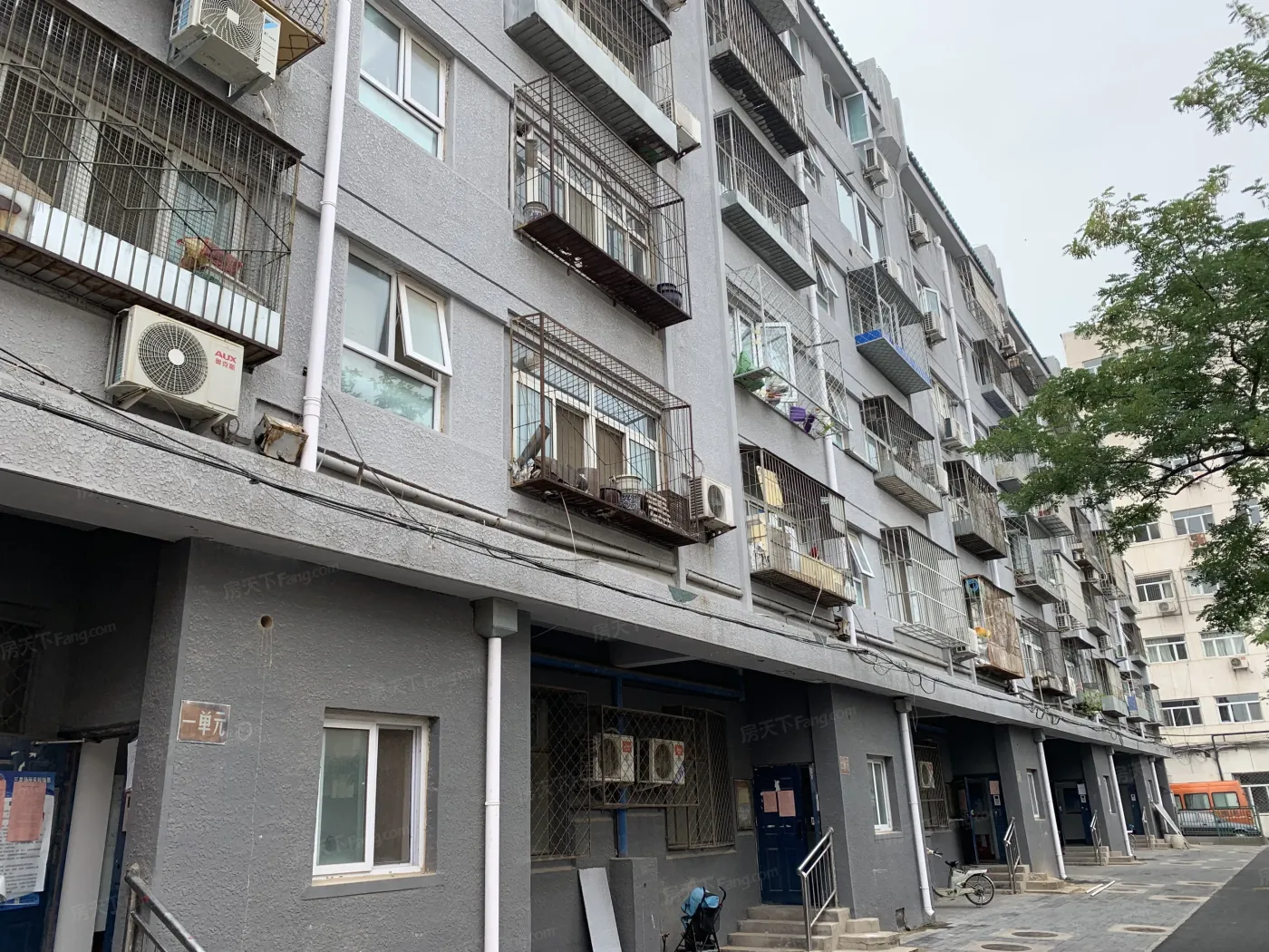 劳动局家属楼3室1厅1卫南北朝向3500.00元/月出租