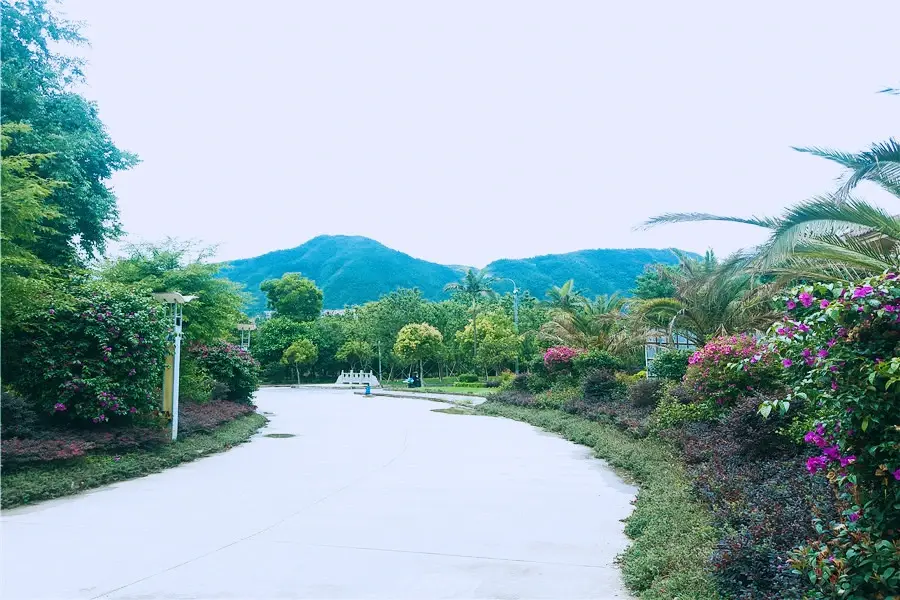 实景图:小区入口远眺东山