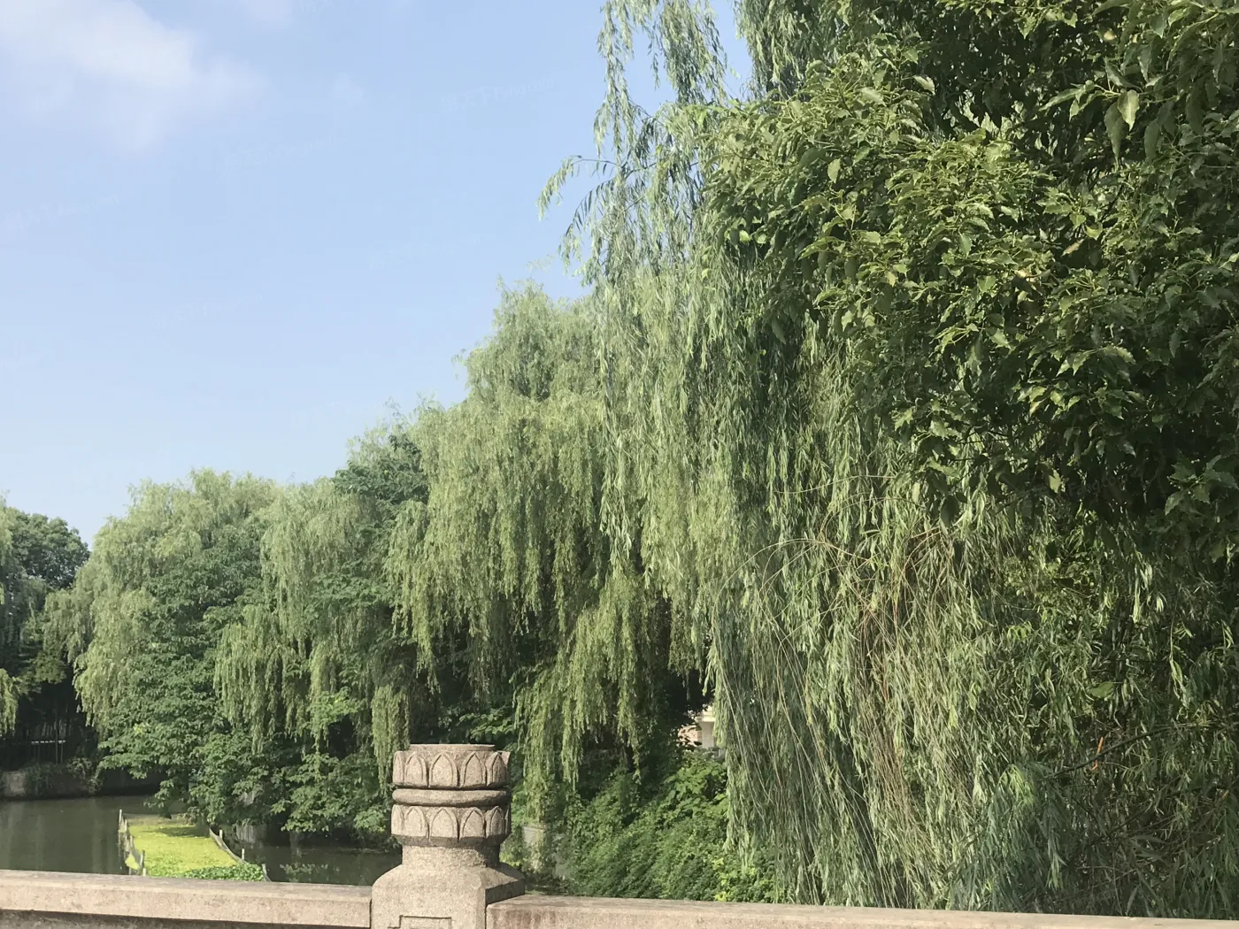 风和苑4室2厅2卫南北朝向3000.00元/月出租