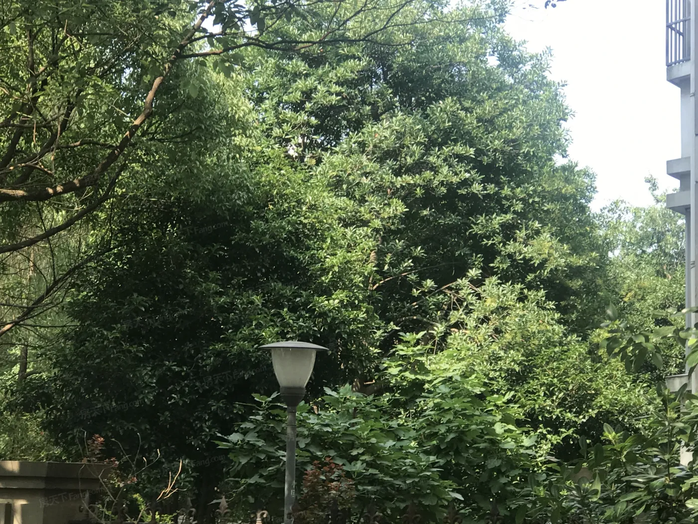 风和苑3室2厅2卫南朝向3800.00元/月出租