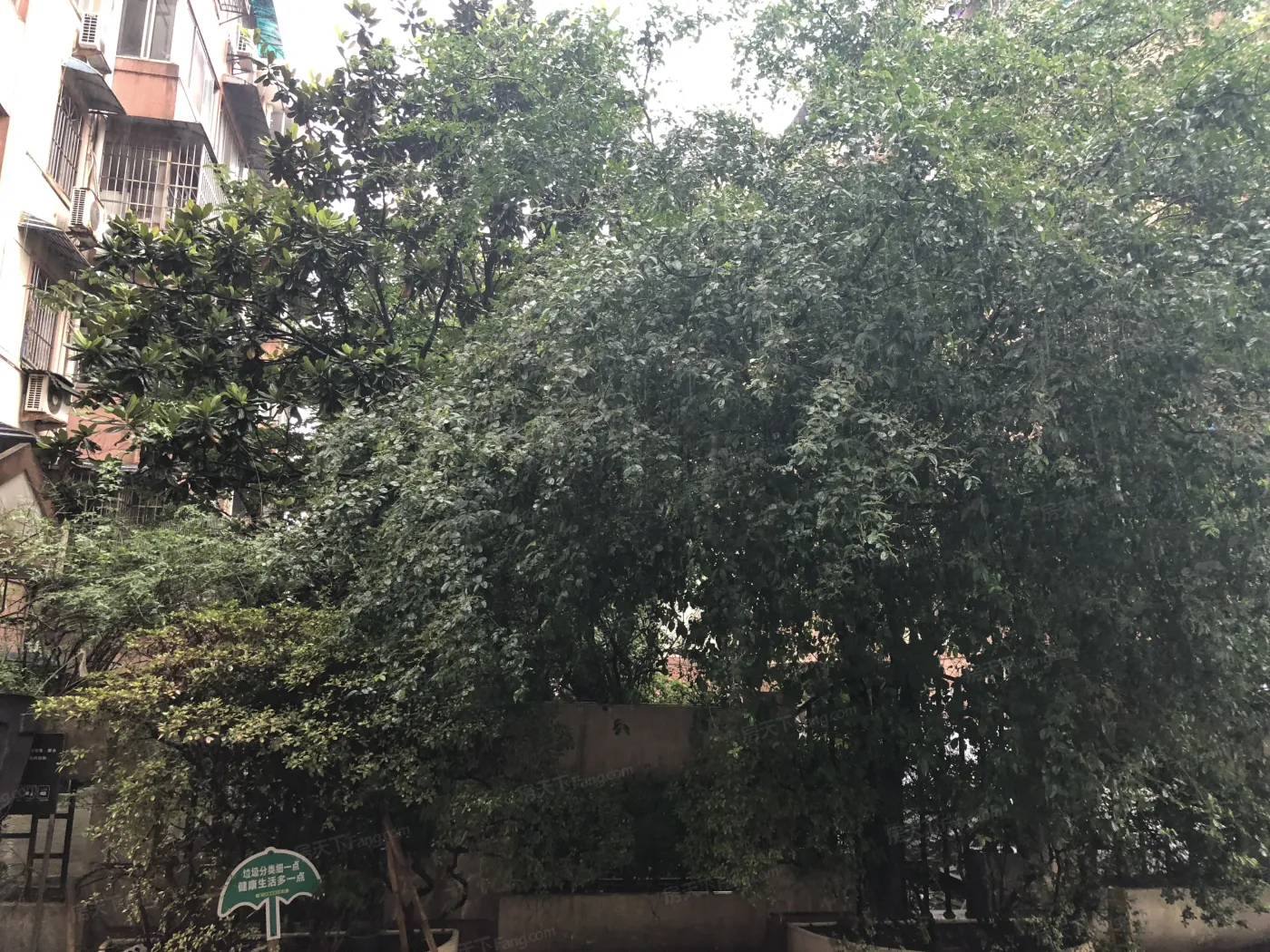 生活大师实景图