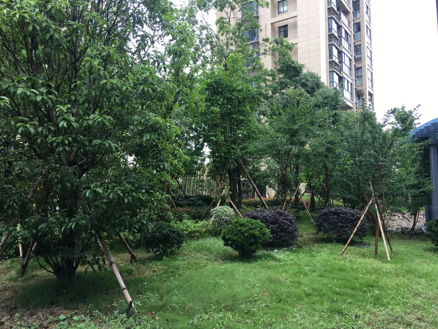 御锦水岸花苑4室1厅1卫南朝向2300.00元/月出租