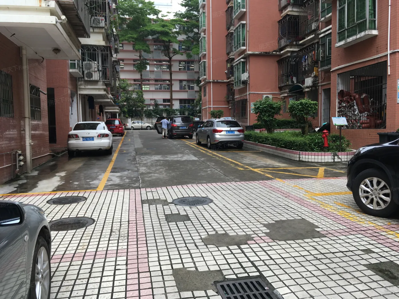 梧桐苑1室1卫南朝向2300.00元/月出租