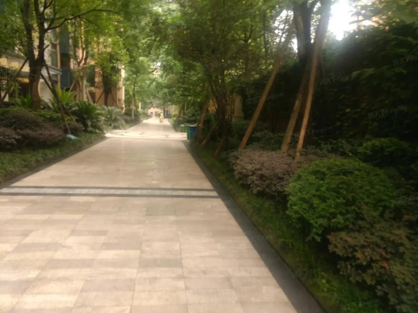 南阳锦城晶品1室1厅1卫南朝向2500.00元/月出租