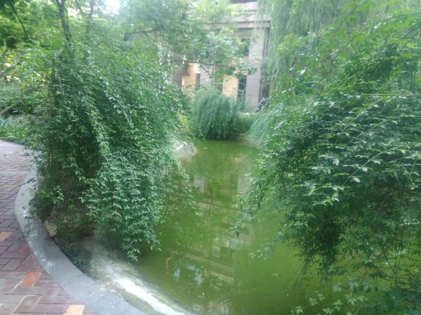 瑞升橡树林华府2室1厅1卫北朝向2200.00元/月出租