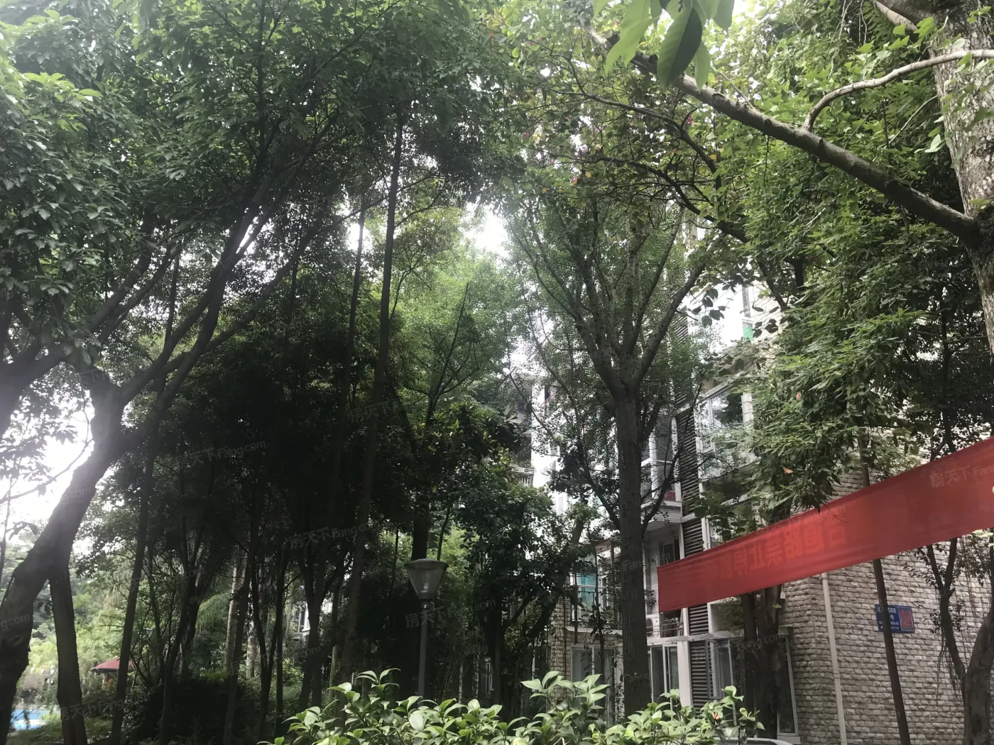 七彩花都一期3室2厅2卫东南朝向1656.00元/月出租
