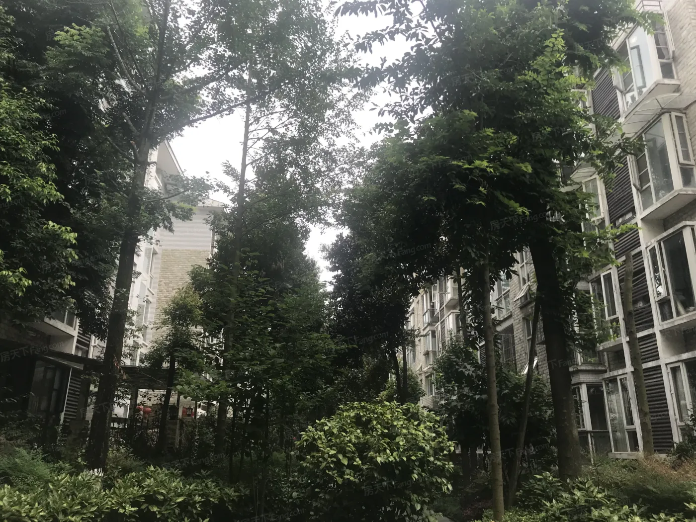 七彩花都一期2室1厅2卫南朝向1800.00元/月出租