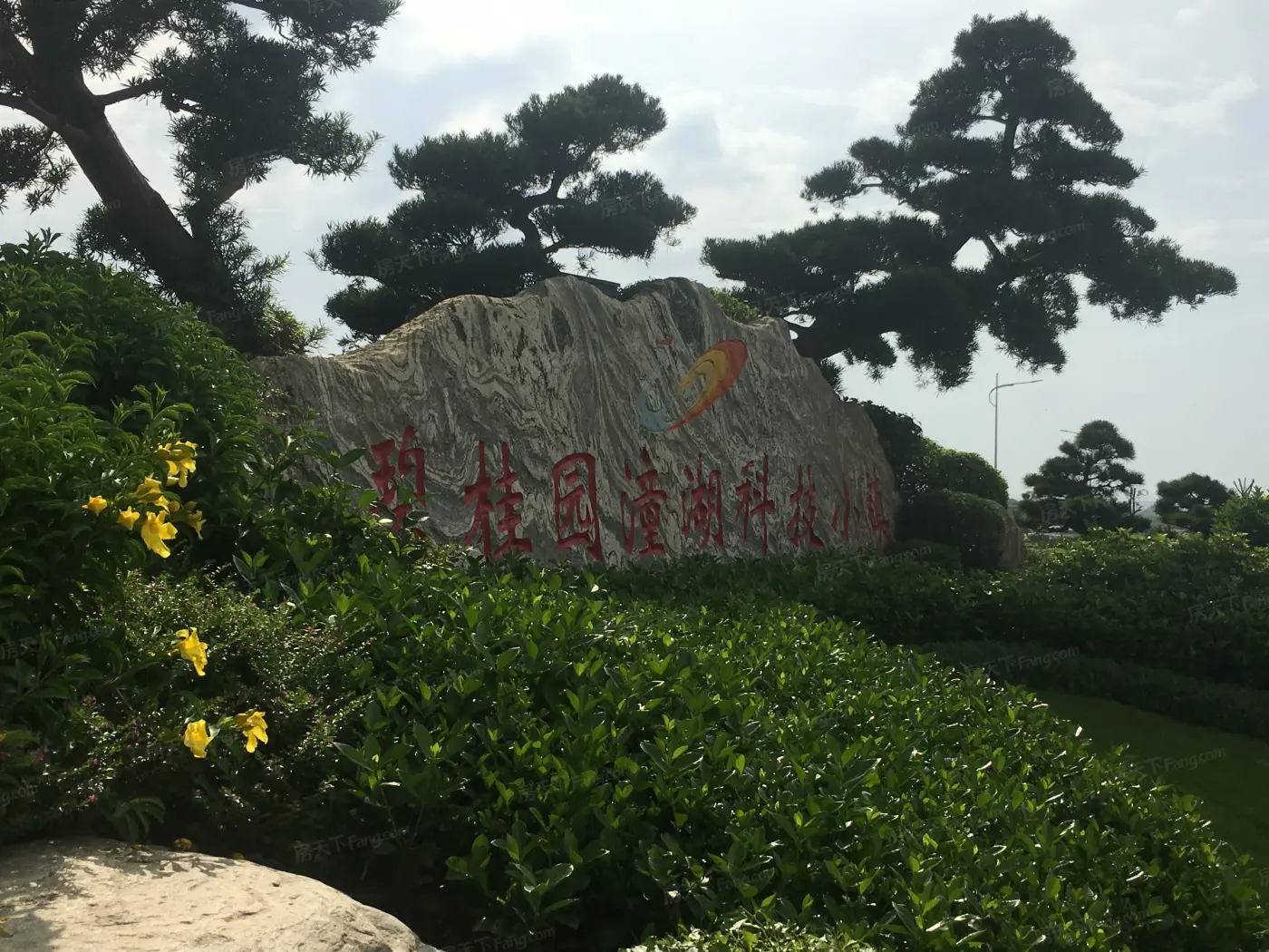 实景图:项目实景图
