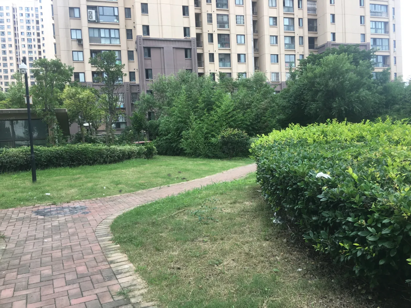 高杨佳苑2室1厅1卫南朝向6200.00元/月出租