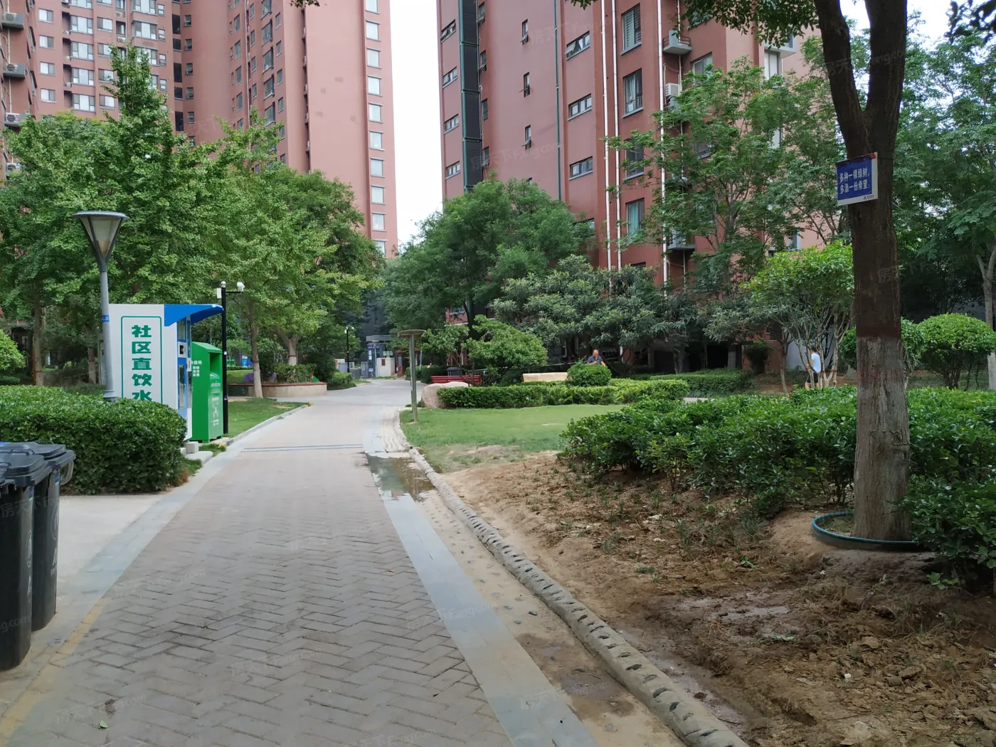 建业枫林上院3室2厅1卫南朝向1900.00元/月出租