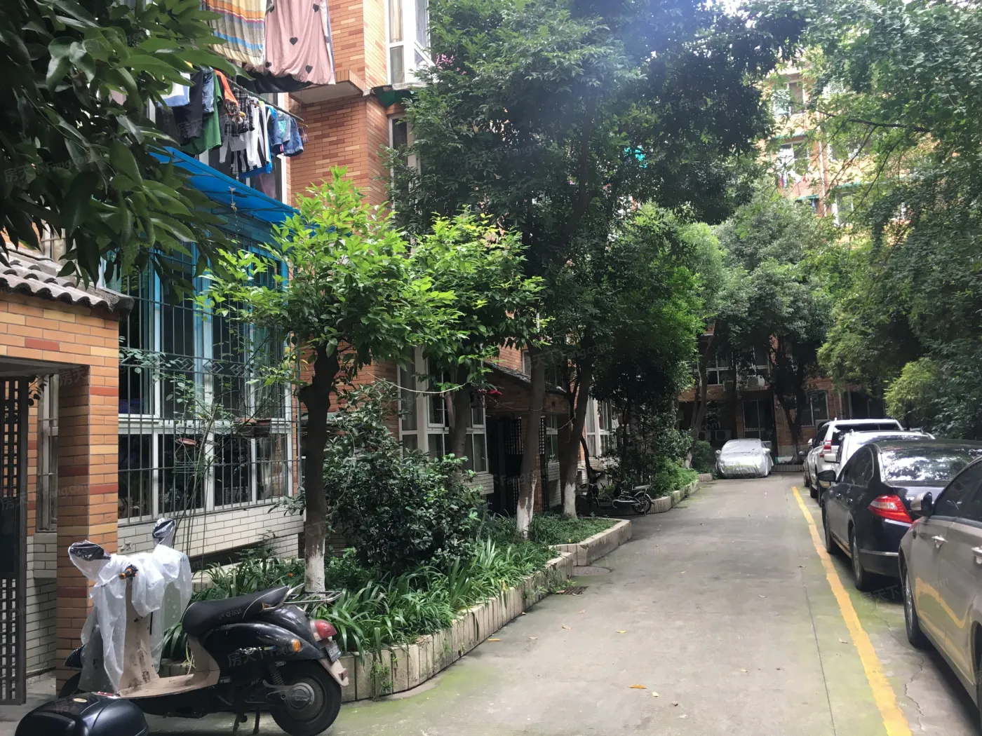 田园3室1厅2卫东南朝向2700.00元/月出租