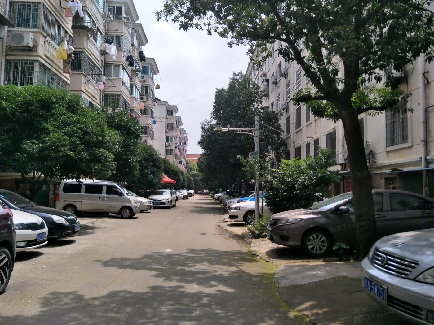 洪都十区3室2厅1卫南朝向1100.00元/月出租