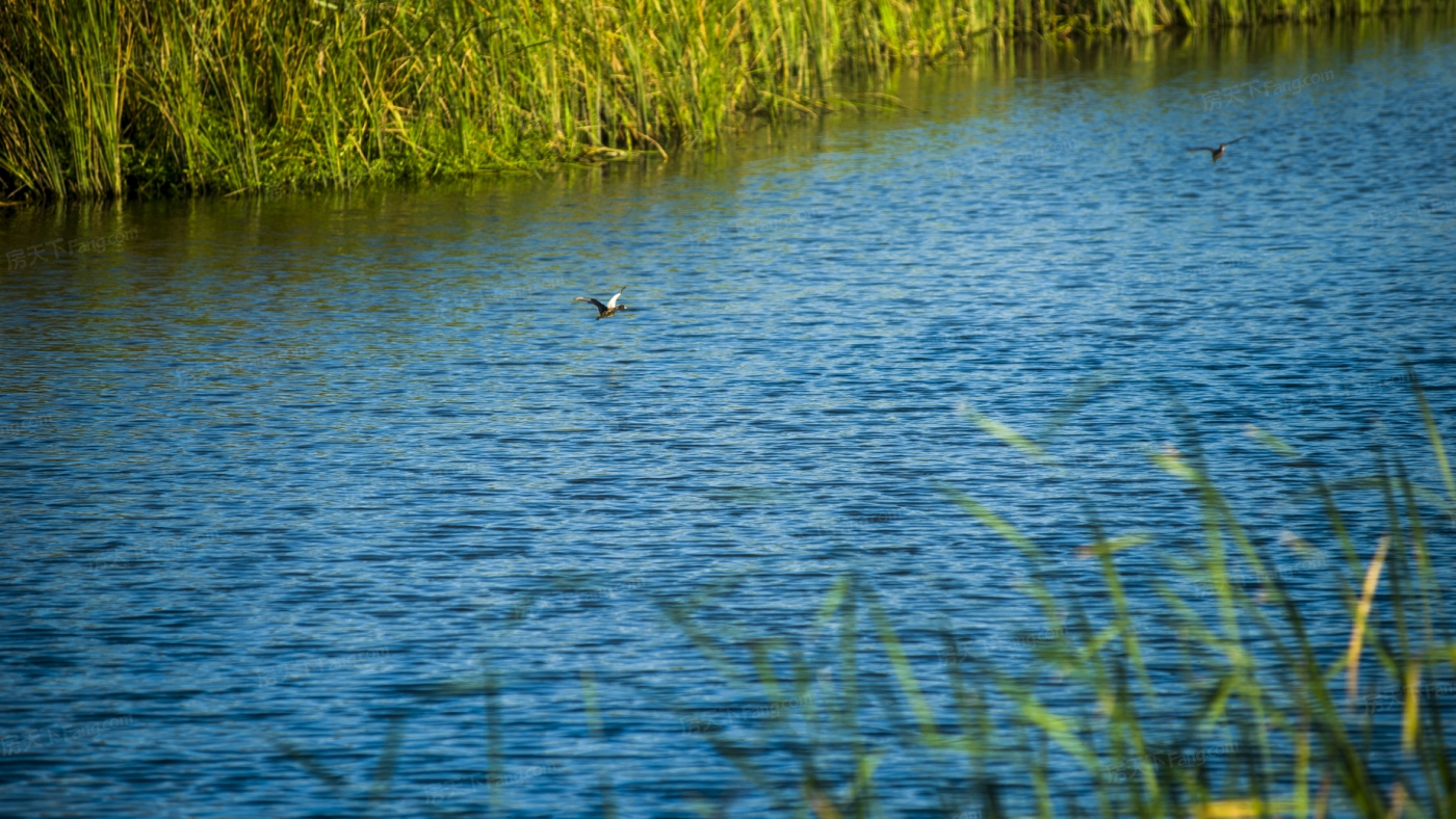 龙湖·景粼玖序