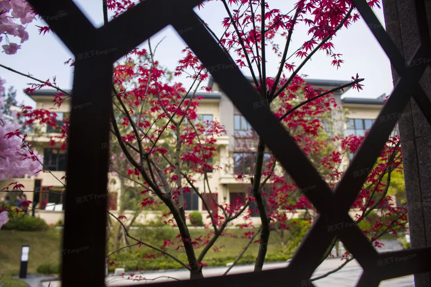 碧桂园上观 4室 2厅 159.31平米